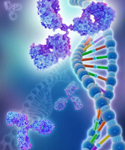 Creative BioMart Protein, Native Protein, GMP Protein And